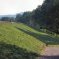 Barrage de Cercey - (c) BETCGB